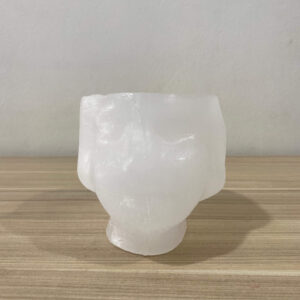 CABEÇA FEMININA ABERTA EM CIMA